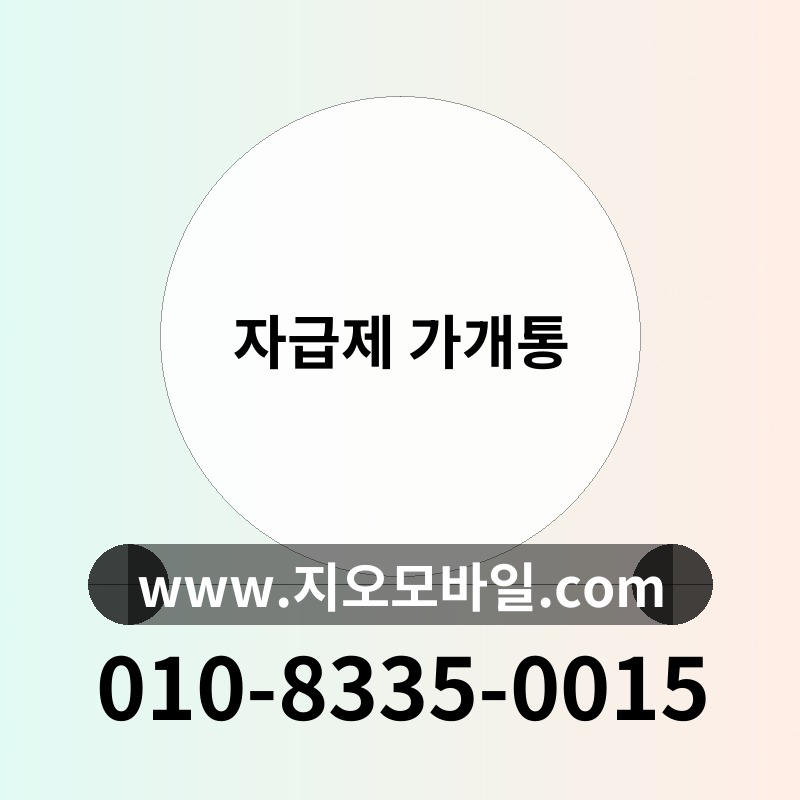 자급제 가개통