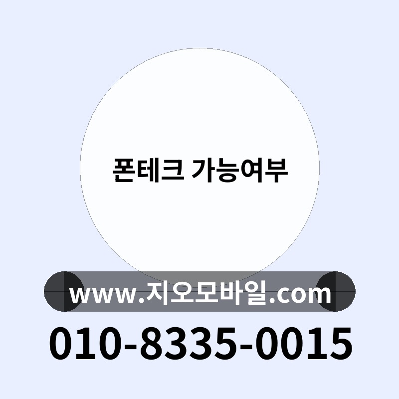 폰테크 가능여부