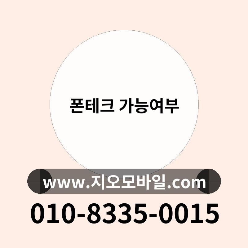 폰테크 가능여부