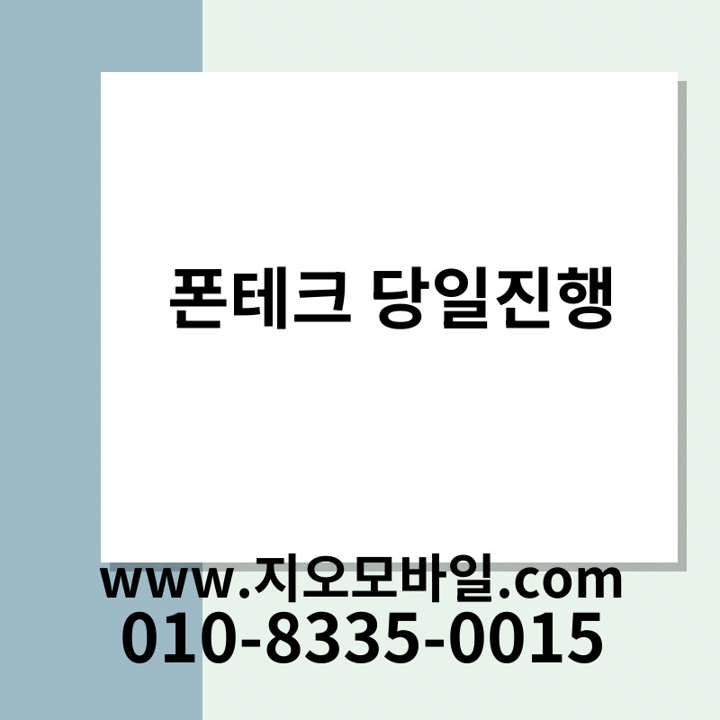 폰테크 당일진행