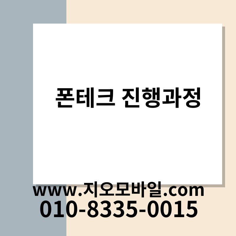 폰테크 진행과정
