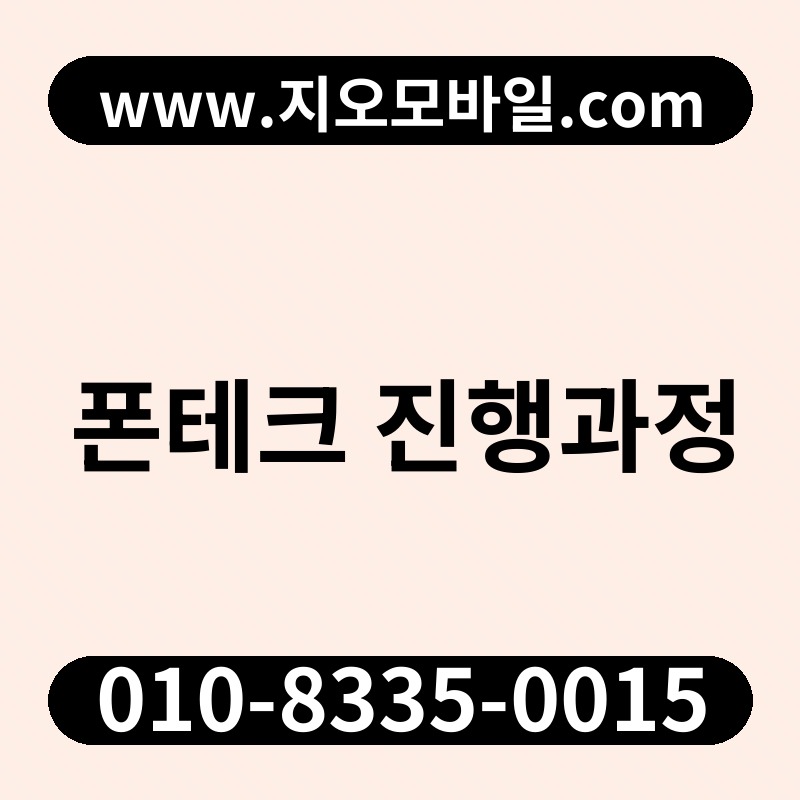 폰테크 진행과정