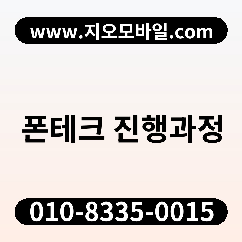 폰테크 진행과정